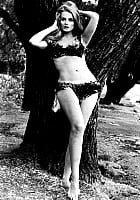 Celeste Yarnall
